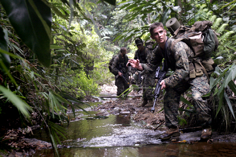 The Norman Hatch Combat Photography Award 1st Place - Cpl. Andrew S. Avitt: Rifleman Lance Cpl. John Jones with Combat Assault Company, 3rd Marine Regiment, 3rd Marine Division, signals to fellow Marines as he patrols with Malaysian Army Rangers in Malaysia during Cooperation Afloat Readiness and Training 2008. CARAT 2008 is a series of bilateral exercises between U.S. armed forces and six Southeast Asian countries. 